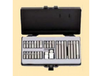 4225 1/2" Набор райб-бит L=30mm, L=75mm 22пр.